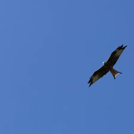 Sunnenviul Appartement *