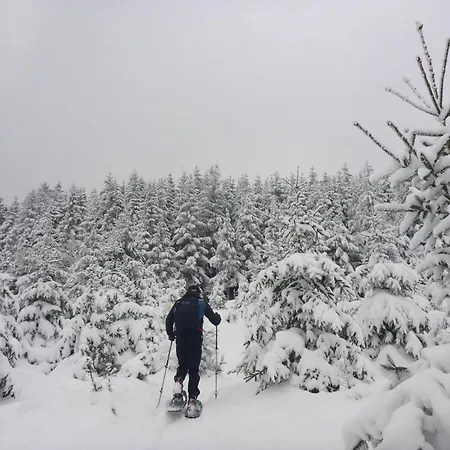 Sunnenviul Appartement *