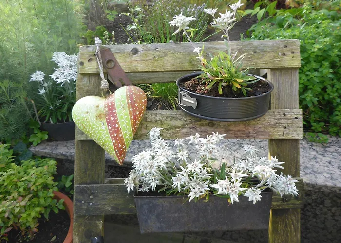 Sunnenviul Lejlighed Lennestadt