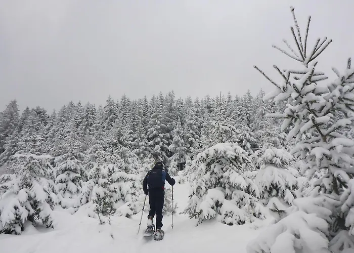 Sunnenviul Lejlighed *